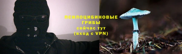 трава Алзамай
